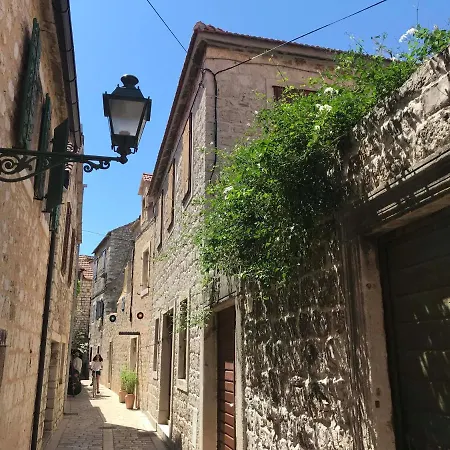 Olive Tree * סטארי גראד