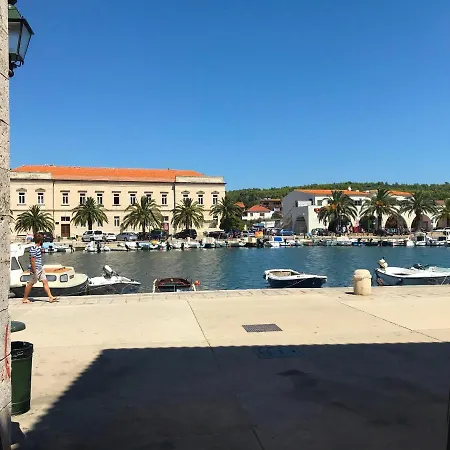 Olive Tree * סטארי גראד