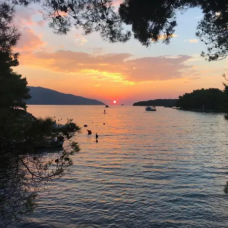 דירה Olive Tree *