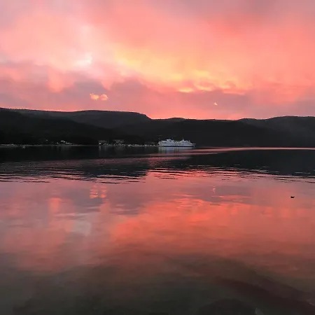 Olive Tree * Stari Grad (Hvar)